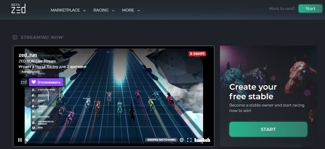 ZED RUN dapp