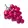 Grap.Finance logo
