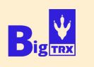 Bigtrx dapp