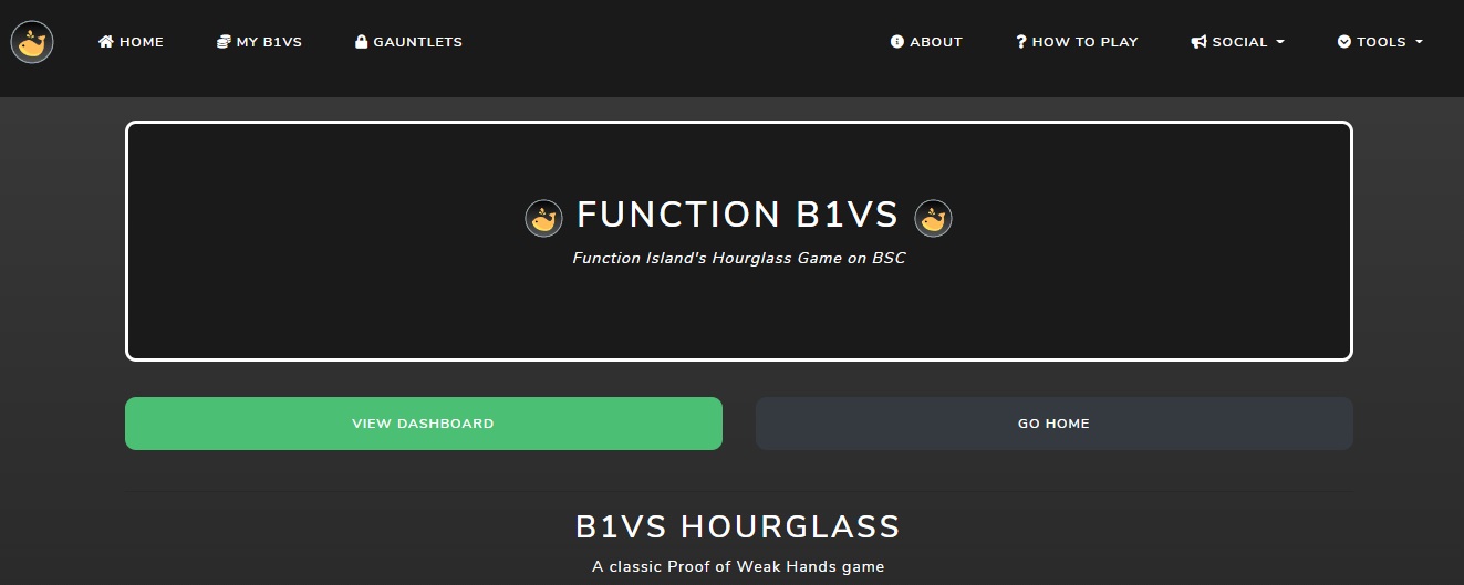 Function Island B1VS