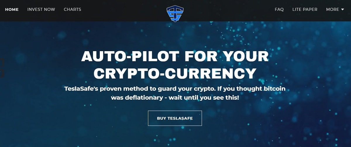 TeslaSafe