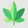 DankSwap logo