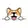 Corgidoge logo