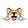 Corgidoge logo