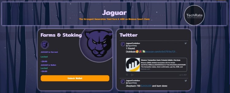 JaguarEvolution