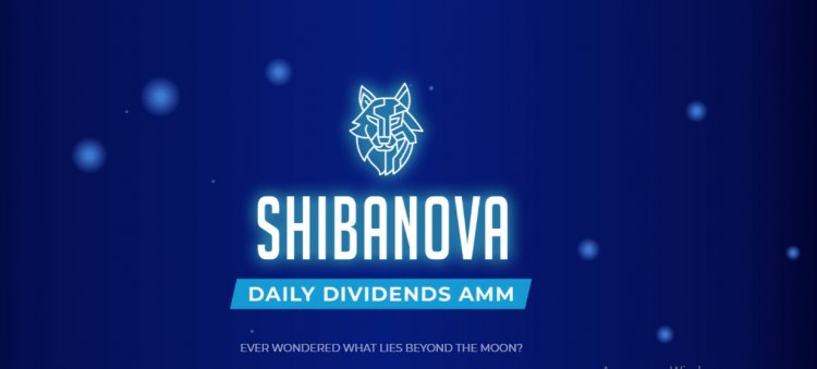 ShibaNova - profitable platform for investors