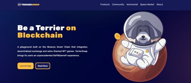 TerrierSwap — a decentralized exchange (DEX) with NFT and games