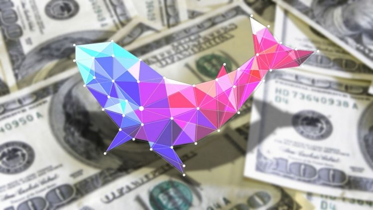 Polywhale Finance произвела фурор в сети Polygon