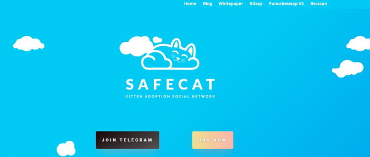 Safecat — это социальная сеть для усыновления котят на блокчейне