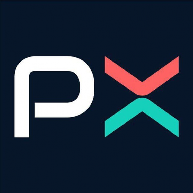 PlotX: make successful predictions on Polygon