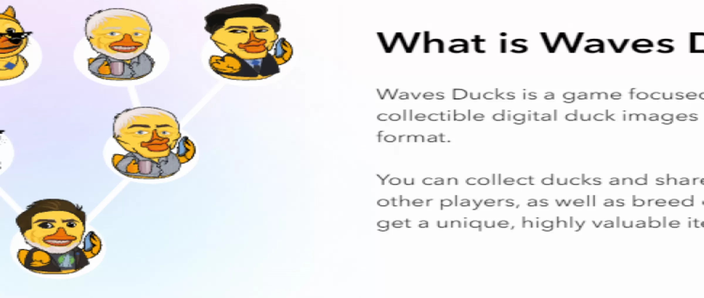 Dapp Waves Ducks