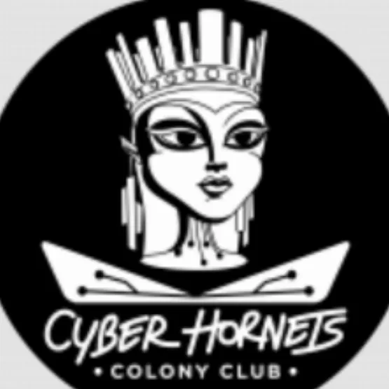 Cyber hornets colony club