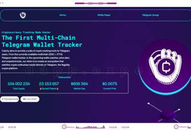 binance chain portfolio tracker