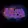 Solana Worlds logo