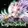 Contract Servant logo