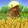 Veggies Farm logo