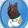 SCooBi Doge logo