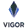 VIGOR logo