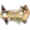 CryptoNinja logo