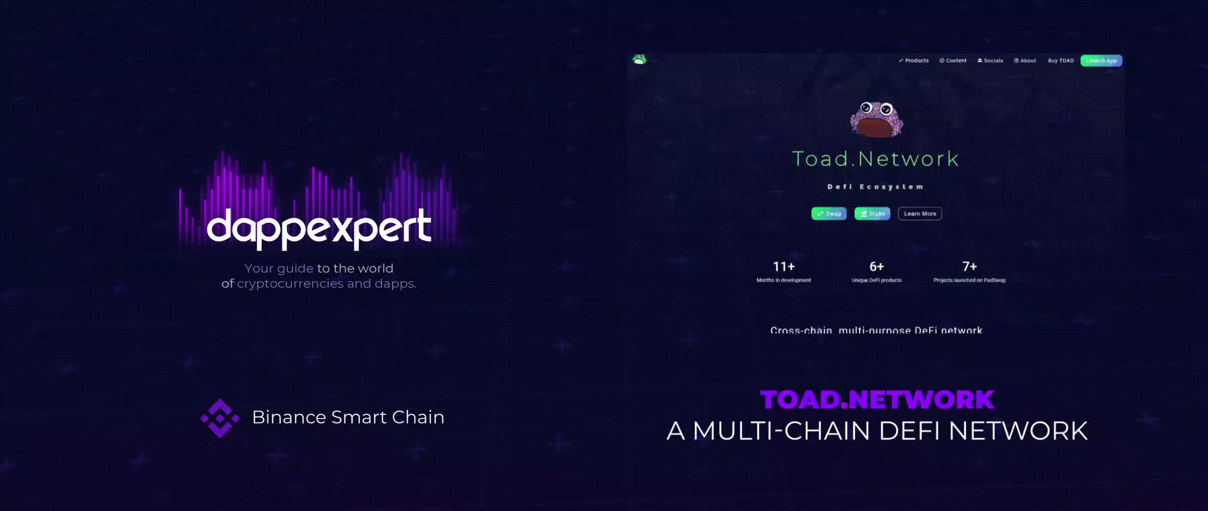 Dapps TOAD.Network