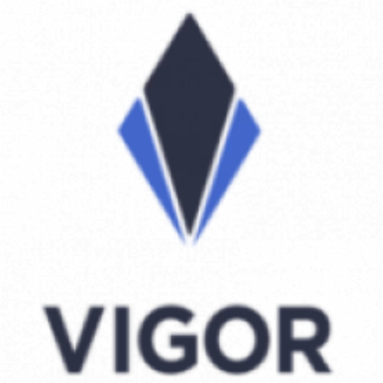 VIGOR dapp- dapp.expert