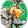 CardMaker - NatureTown logo