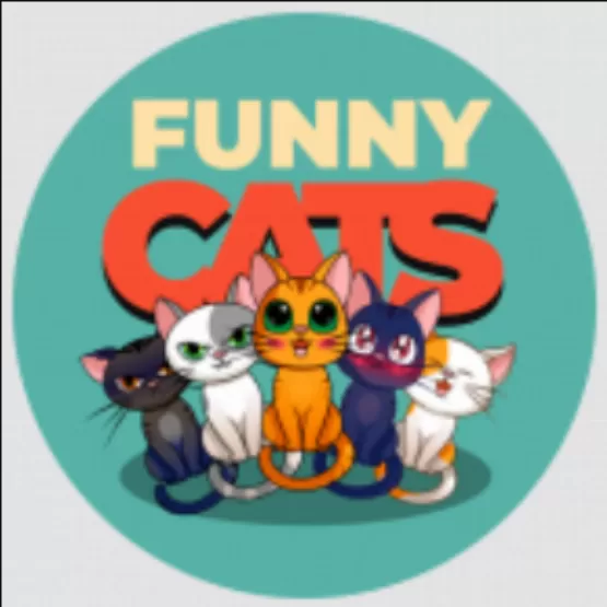 Funny Cats  Game - dapp.expert