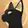 Cat's World logo