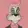 DEGEN TOONZ COLLECTION logo