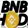 BNB HODL logo