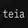 Teia logo