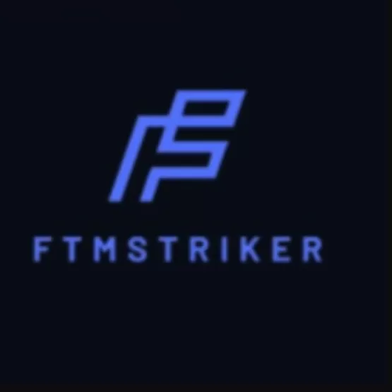 FTM Striker  High-risk - dapp.expert