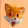 FOXY logo