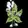 Green Grower Game logo