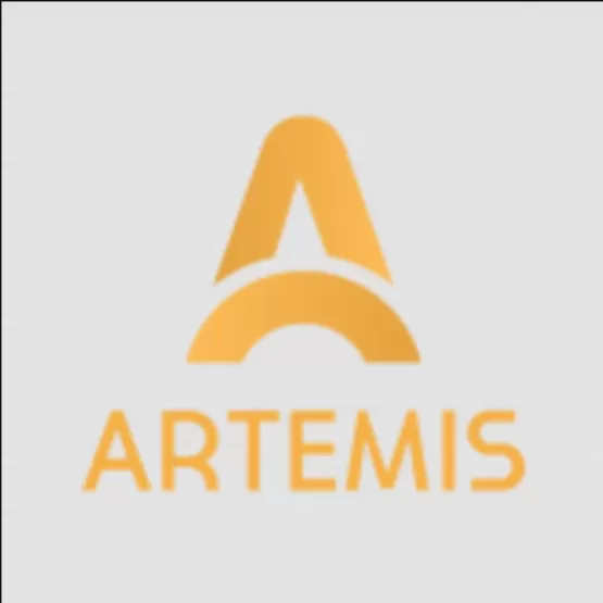 Artemis market