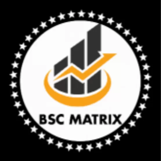 BSC MATRIX  High-risk - dapp.expert