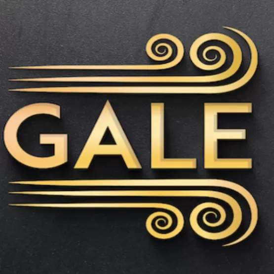 Gale network