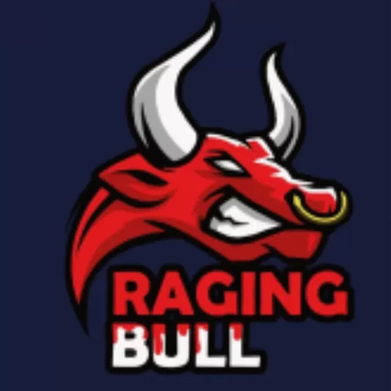 Raging bull finance