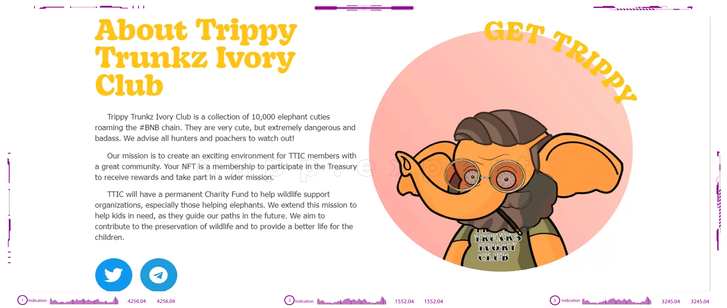 Dapp Trippy Trunkz Ivory Club