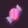 HashCandy logo