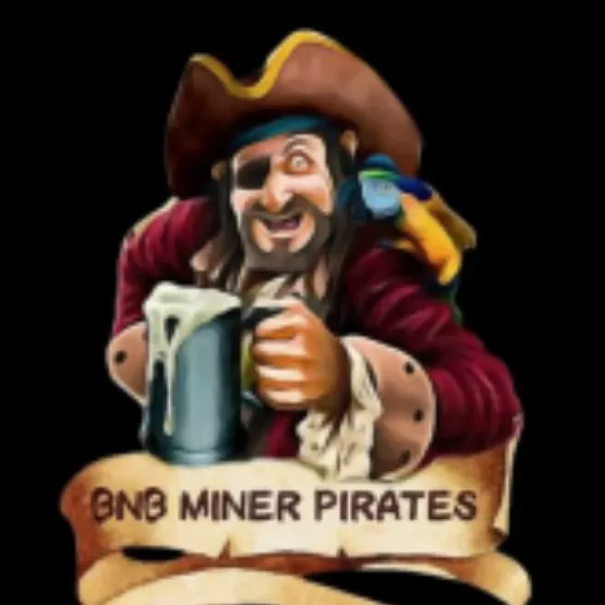 BnB Miner Pirates  High-risk - dapp.expert