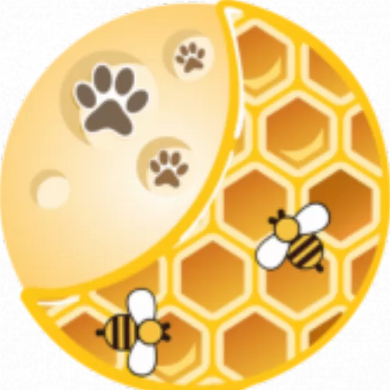 Honeycomb finance