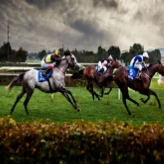 Roulette baccarat blackjack slot dice horse racing