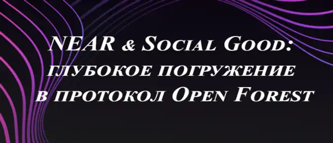 NEAR & Social Good: глубокое погружение в протокол Open Forest NEAR & Social Good: глубокое погружение в протокол Open Forest