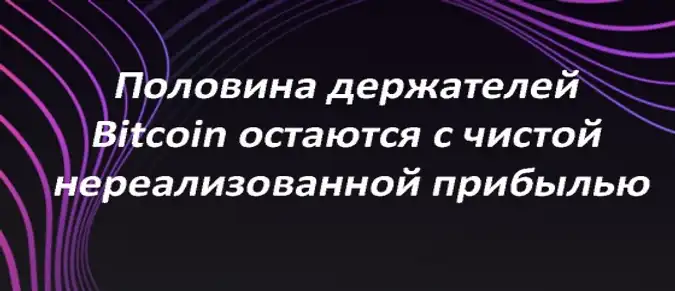 Половина держателей Bitcoin остаются с чистой нереализованной прибылью Половина держателей Bitcoin остаются с чистой нереализованной прибылью