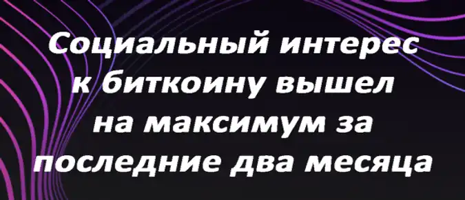 Социальный интерес к биткоину вышел на максимум за последние два месяца