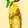 HoneyDrip logo