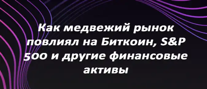 Как медвежий рынок повлиял на Биткоин, S&P 500 и другие финансовые активы