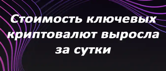 Стоимость ключевых криптовалют выросла за сутки