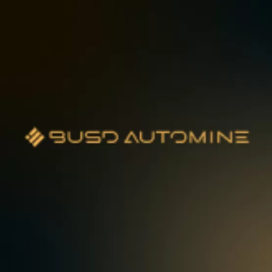 Busd automine